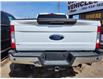 2019 Ford F-250 XLT (Stk: P39271C) in Saskatoon - Image 3 of 9