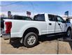 2019 Ford F-250 XLT (Stk: P39271C) in Saskatoon - Image 2 of 9