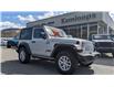 2023 Jeep Wrangler Sport (Stk: TP065) in Kamloops - Image 9 of 24