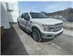 2020 Ford F-150 XLT (Stk: 9749) in Golden - Image 4 of 13