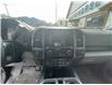 2020 Ford F-150 XLT (Stk: 9749) in Golden - Image 11 of 13