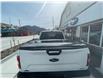 2020 Ford F-150 XLT (Stk: 9749) in Golden - Image 7 of 13