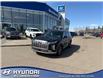 2023 Hyundai Palisade Ultimate Calligraphy (Stk: E6380) in Edmonton - Image 2 of 22