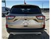 2020 Ford Escape SE (Stk: MP395C) in Saskatoon - Image 4 of 24
