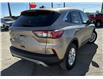 2020 Ford Escape SE (Stk: MP395C) in Saskatoon - Image 11 of 24