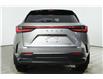 2024 Lexus NX 350  (Stk: 14104987) in Markham - Image 6 of 27