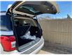 2023 Ford Expedition XLT (Stk: 8684) in Roblin - Image 5 of 23