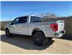 2023 Ford F-150 Tremor (Stk: 8670) in Roblin - Image 3 of 22