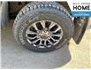 2020 Ford Ranger  (Stk: F517MB) in Roblin - Image 5 of 21