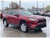 2019 Toyota RAV4 XLE (Stk: U09023) in Goderich - Image 7 of 18