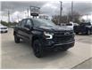 2023 Chevrolet Silverado 1500 LT Trail Boss (Stk: P165) in Blenheim - Image 11 of 32