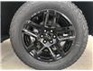 2023 Chevrolet Silverado 1500 LT Trail Boss (Stk: P165) in Blenheim - Image 12 of 32