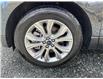 2022 Ford Edge Titanium (Stk: 23037A) in Madoc - Image 10 of 27