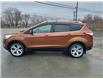 2017 Ford Escape Titanium (Stk: ED246A) in Miramichi - Image 2 of 14