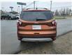 2017 Ford Escape Titanium (Stk: ED246A) in Miramichi - Image 4 of 14