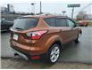 2017 Ford Escape Titanium (Stk: ED246A) in Miramichi - Image 5 of 14