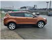 2017 Ford Escape Titanium (Stk: ED246A) in Miramichi - Image 6 of 14