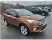 2017 Ford Escape Titanium (Stk: ED246A) in Miramichi - Image 7 of 14