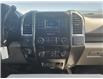2016 Ford F-150 XLT (Stk: U69460) in Shellbrook - Image 17 of 19