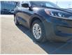 2020 Ford Escape SE (Stk: F0023) in Prince Albert - Image 4 of 15