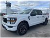 2023 Ford F-150 XL (Stk: F3574) in Bobcaygeon - Image 29 of 29