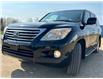 2010 Lexus LX 570 Base (Stk: 040061-XI) in Stony Plain - Image 4 of 19