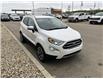 2022 Ford EcoSport Titanium (Stk: NSC045A) in Fort Saskatchewan - Image 6 of 32