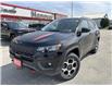 2022 Jeep Compass Trailhawk (Stk: 22-339) in Hanover - Image 1 of 19