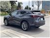 2024 Lexus NX 350  (Stk: 14104963) in Markham - Image 2 of 13
