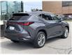 2024 Lexus NX 350  (Stk: 14104963) in Markham - Image 4 of 13