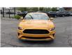 2022 Ford Mustang GT Premium (Stk: 220833B) in Windsor - Image 3 of 17