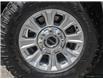 2022 Ford F-250 XLT (Stk: 3196A) in St. Thomas - Image 6 of 27