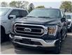 2023 Ford F-150 XLT (Stk: P30268) in Brampton - Image 1 of 15