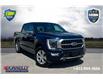 2022 Ford F-150 Platinum (Stk: DX160A) in Ottawa - Image 1 of 17