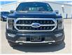 2022 Ford F-150 Platinum (Stk: DX160A) in Ottawa - Image 2 of 17