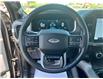 2022 Ford F-150 Platinum (Stk: DX160A) in Ottawa - Image 14 of 17