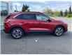2020 Ford Escape SEL (Stk: P2567) in Campbell River - Image 5 of 25