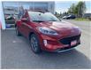 2020 Ford Escape SEL (Stk: P2567) in Campbell River - Image 6 of 25