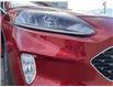 2020 Ford Escape SEL (Stk: P2567) in Campbell River - Image 17 of 25