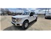 2019 Ford F-150  (Stk: ED251B) in Miramichi - Image 1 of 13
