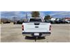 2019 Ford F-150  (Stk: ED251B) in Miramichi - Image 4 of 13