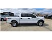 2019 Ford F-150  (Stk: ED251B) in Miramichi - Image 6 of 13