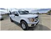 2019 Ford F-150  (Stk: ED251B) in Miramichi - Image 7 of 13