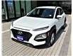 2019 Hyundai Kona 2.0L Essential (Stk: 16101744A) in Markham - Image 3 of 13