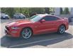 2022 Ford Mustang GT Premium (Stk: 230162A) in Windsor - Image 4 of 18