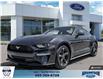 2023 Ford Mustang EcoBoost (Stk: 24731) in Calgary - Image 1 of 26