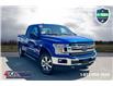 2018 Ford F-150 XLT (Stk: DX521A) in Ottawa - Image 1 of 13