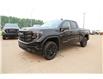 2023 GMC Sierra 1500 Pro (Stk: 204705) in Medicine Hat - Image 3 of 20