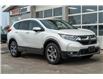 2019 Honda CR-V EX-L (Stk: 23134-PU) in Fort Erie - Image 7 of 33
