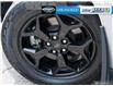 2022 Ford Maverick XLT (Stk: PU22831) in Toronto - Image 6 of 27